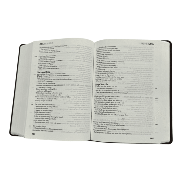 Themessage contemporary language remix tm edition (6)