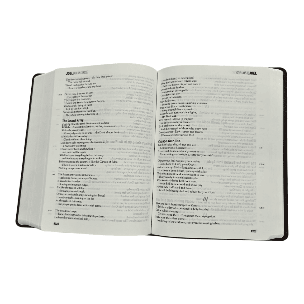 Themessage contemporary language remix tm edition (6)