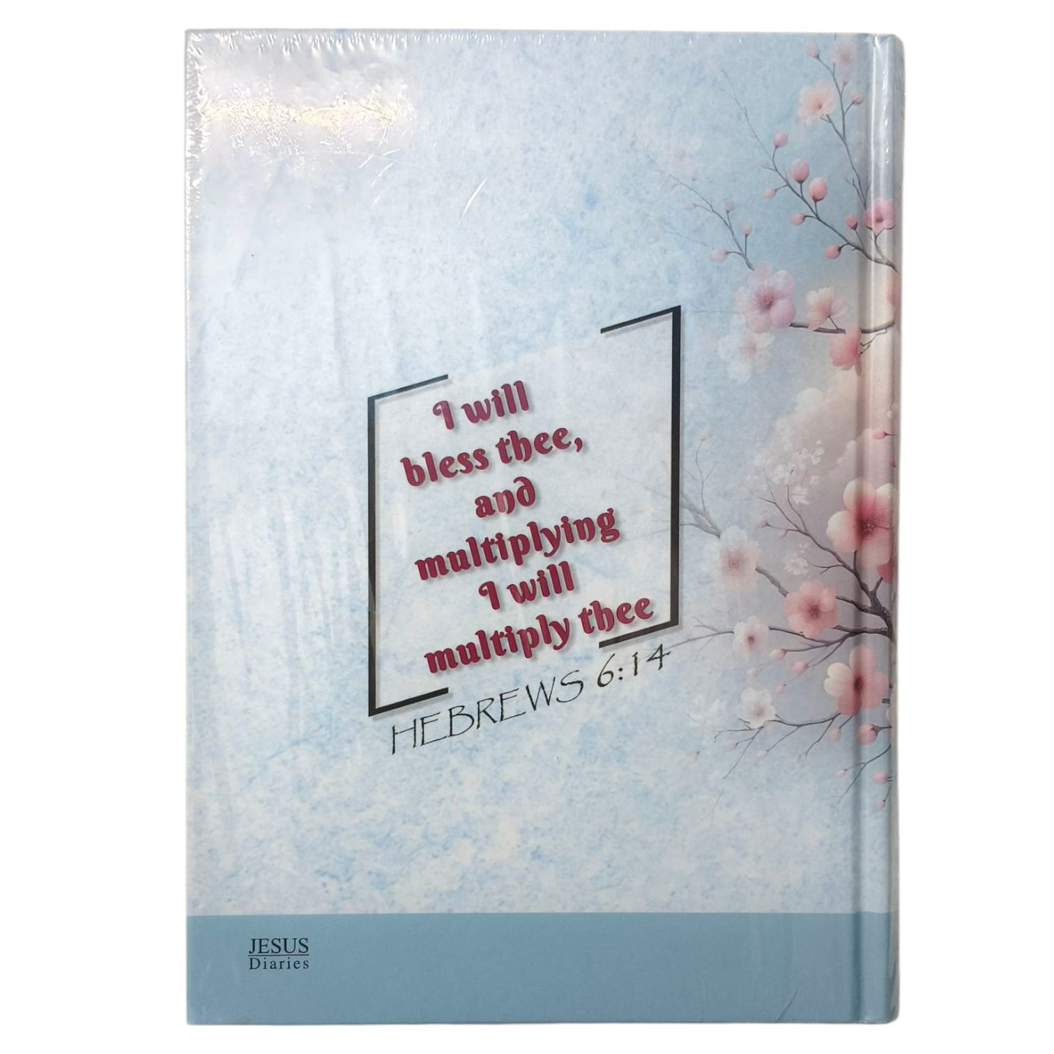 WhatsApp Image 2025 11 14 at 2.13.22 PM