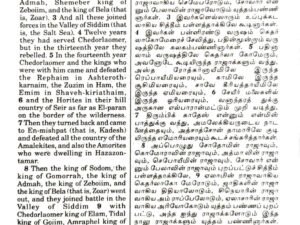 Tamil-English Parallel Bible, Large Font China Print Edition, Burgundy Leather Bound, BSI Publication (ISBN: 9789393511874)