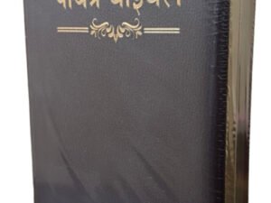 English Leather Look Holy Bible Crown Vinyl NAP-03 Edition
