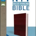 New International Version Value Thinline Imitation Leather Bible, Burgundy Leathersoft cover