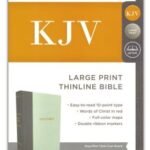 KJV, Thinline Bible, Large Print, Cloth over Board, Gray/Green, Red Letter Edition