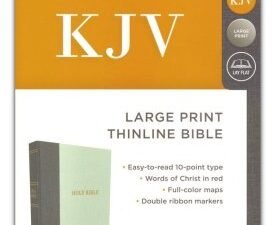 KJV Large Print Thinline Bible with Red Letter Edition