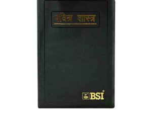 Holy Bible (Marathi)