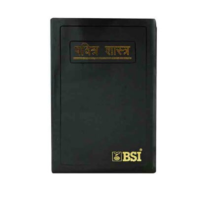 Holy Bible (Marathi)