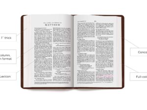 ESV Thinline Bible: English Standard Version Thinline Bible, Royal Lion, Trutone Imitation Leather – Imported.