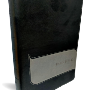Understand the Faith Study Bible: New International Version, Black/gray, Italian Duo-tone Imitation Leather