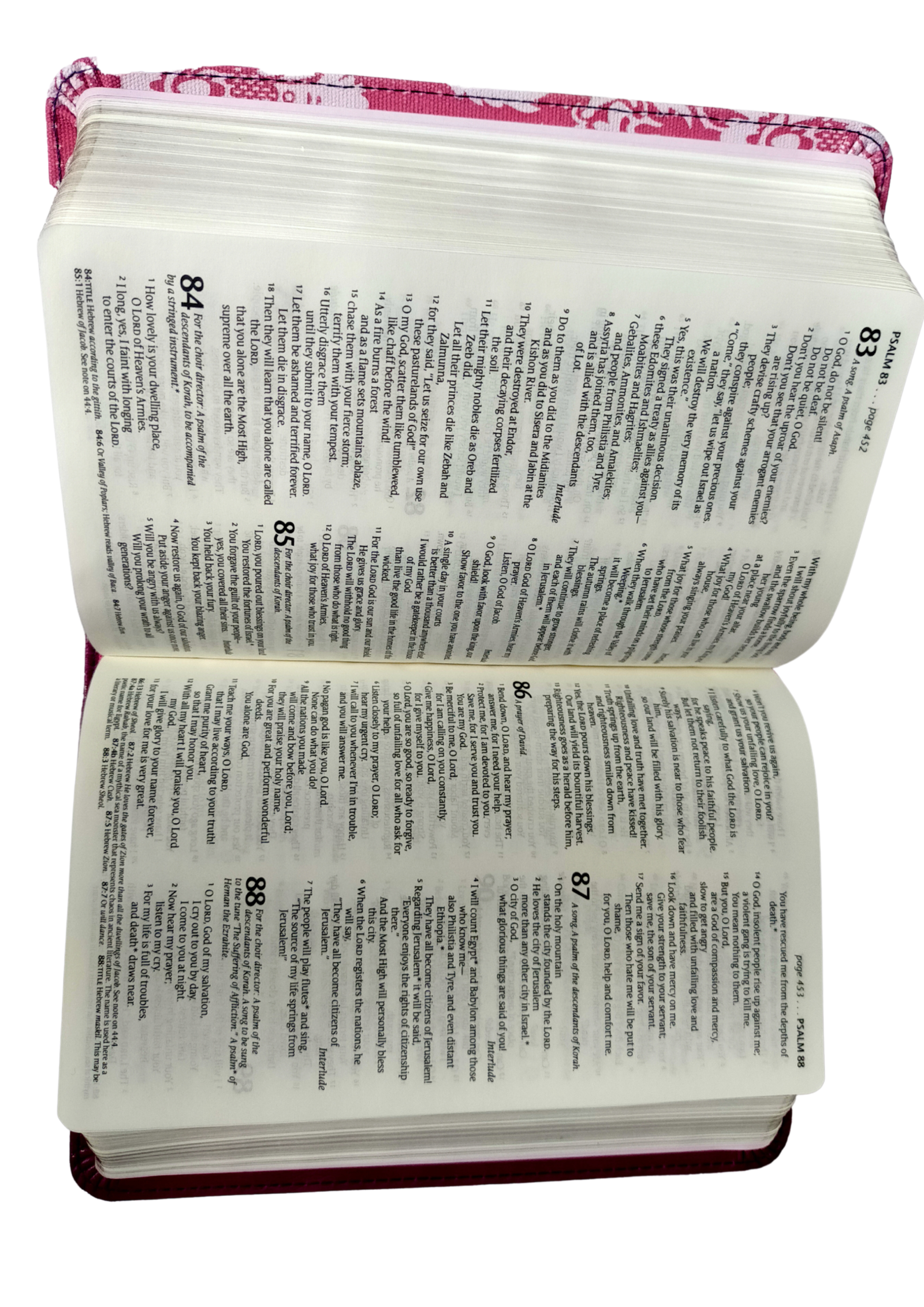 NLT Compact Bible Tutone Fuchsia Floral/Plum Paperback – Import,