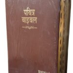 Hindi Holy Bible Compact Edition Yapp (Amity) Indexed Edition