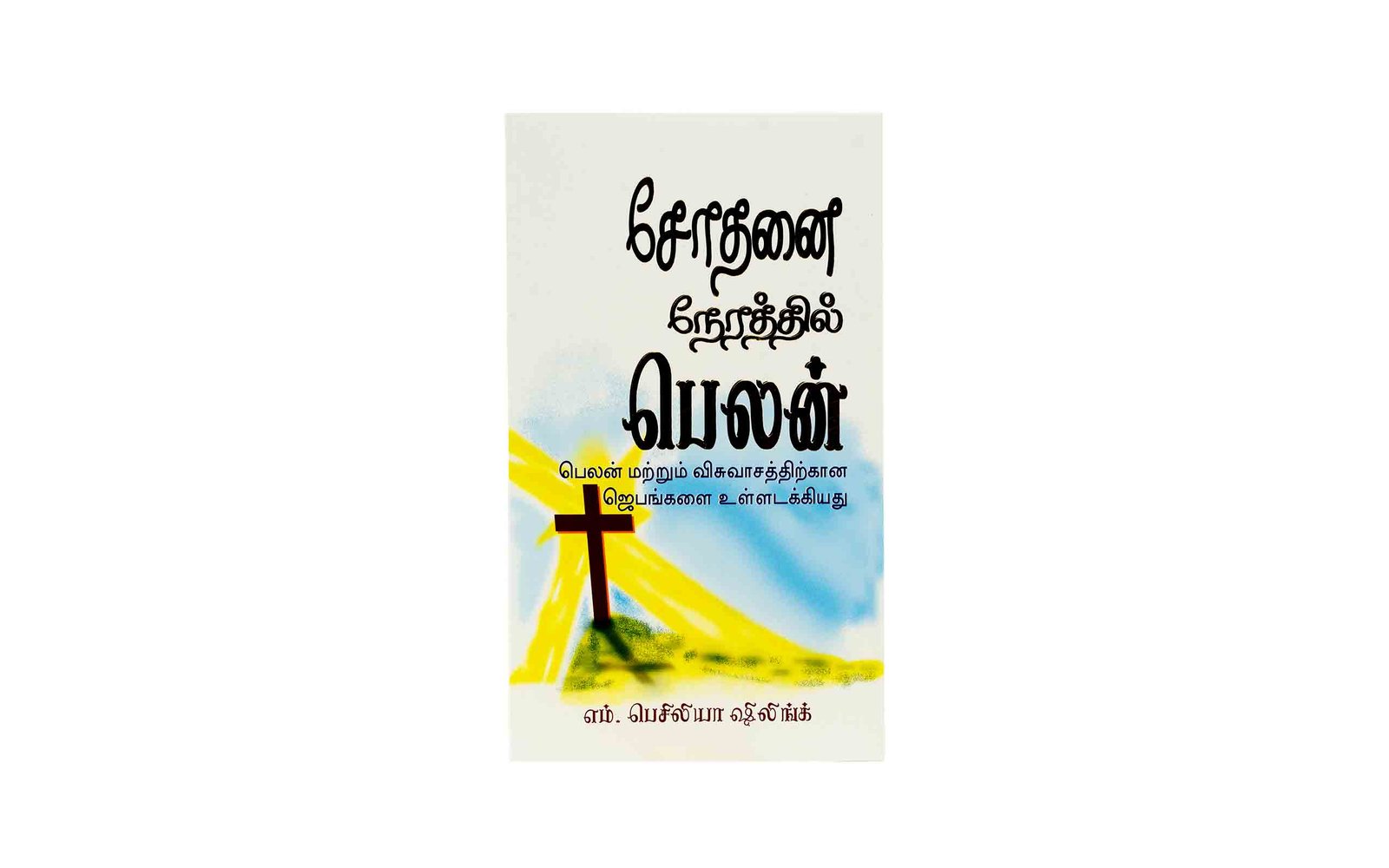 Exploring Christian faith and perseverance through Biblical studies
