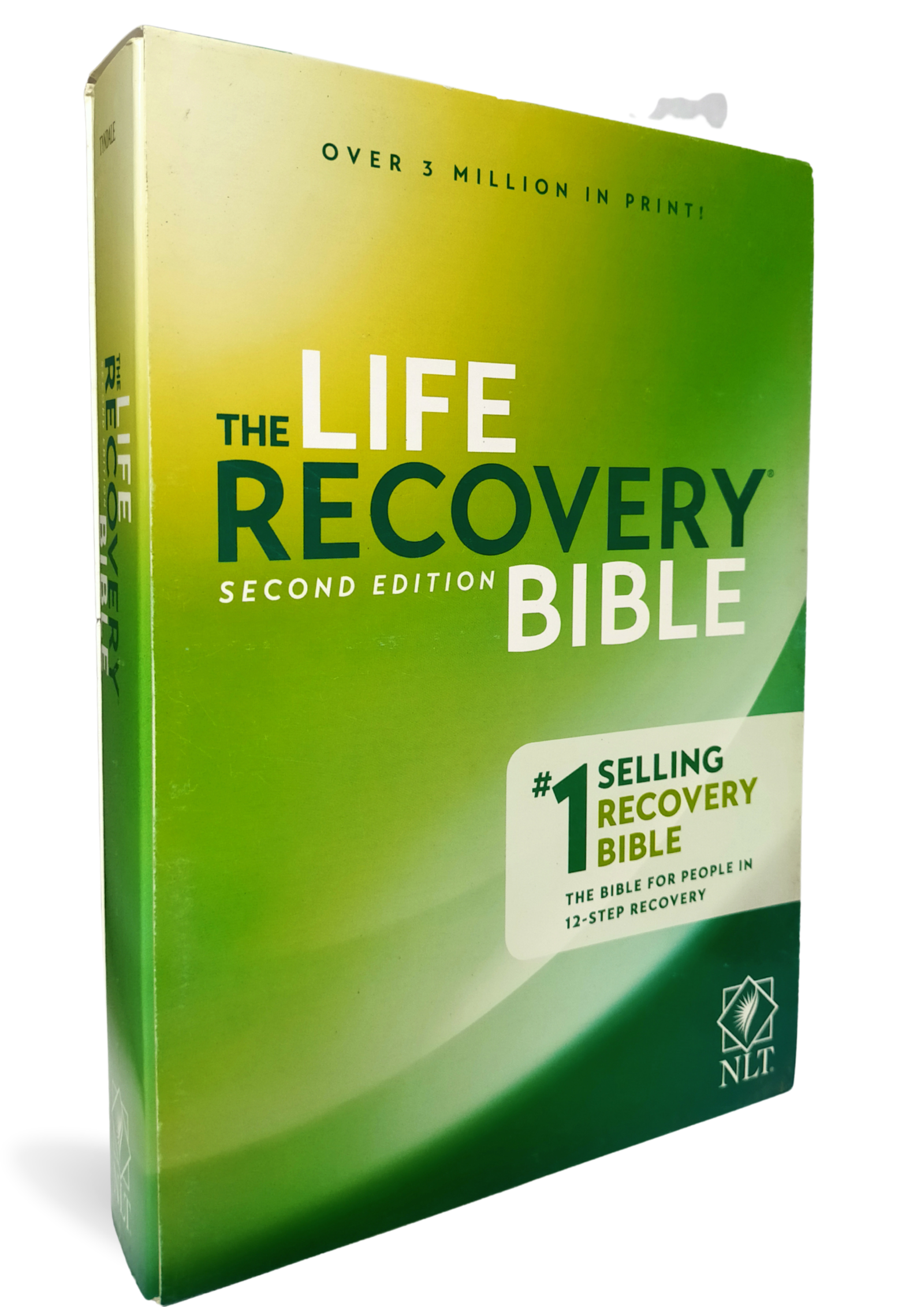 Softcover Study Bible NLT - Life Recovery Bible