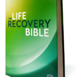 NLT Life Recovery Bible, The Hardcover – Import,