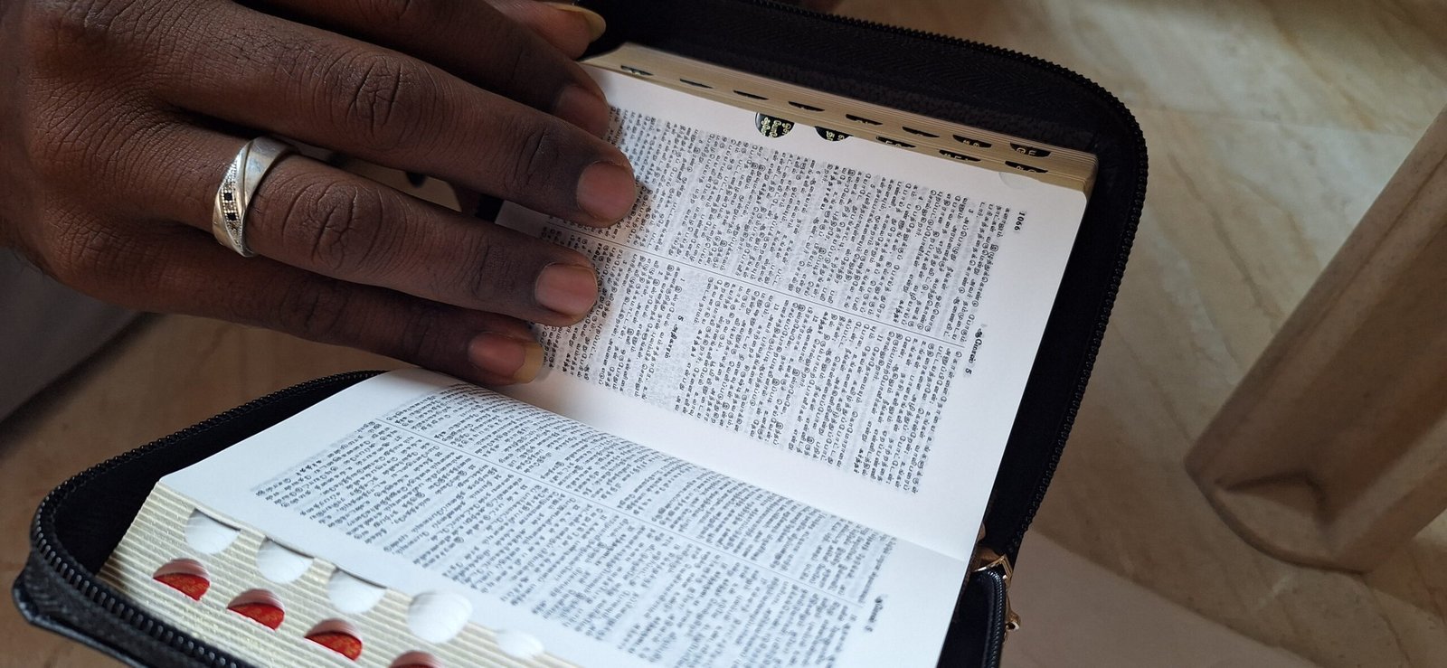 Tamil Holy Bible Pocket edition, Golden Edge Zip Amity