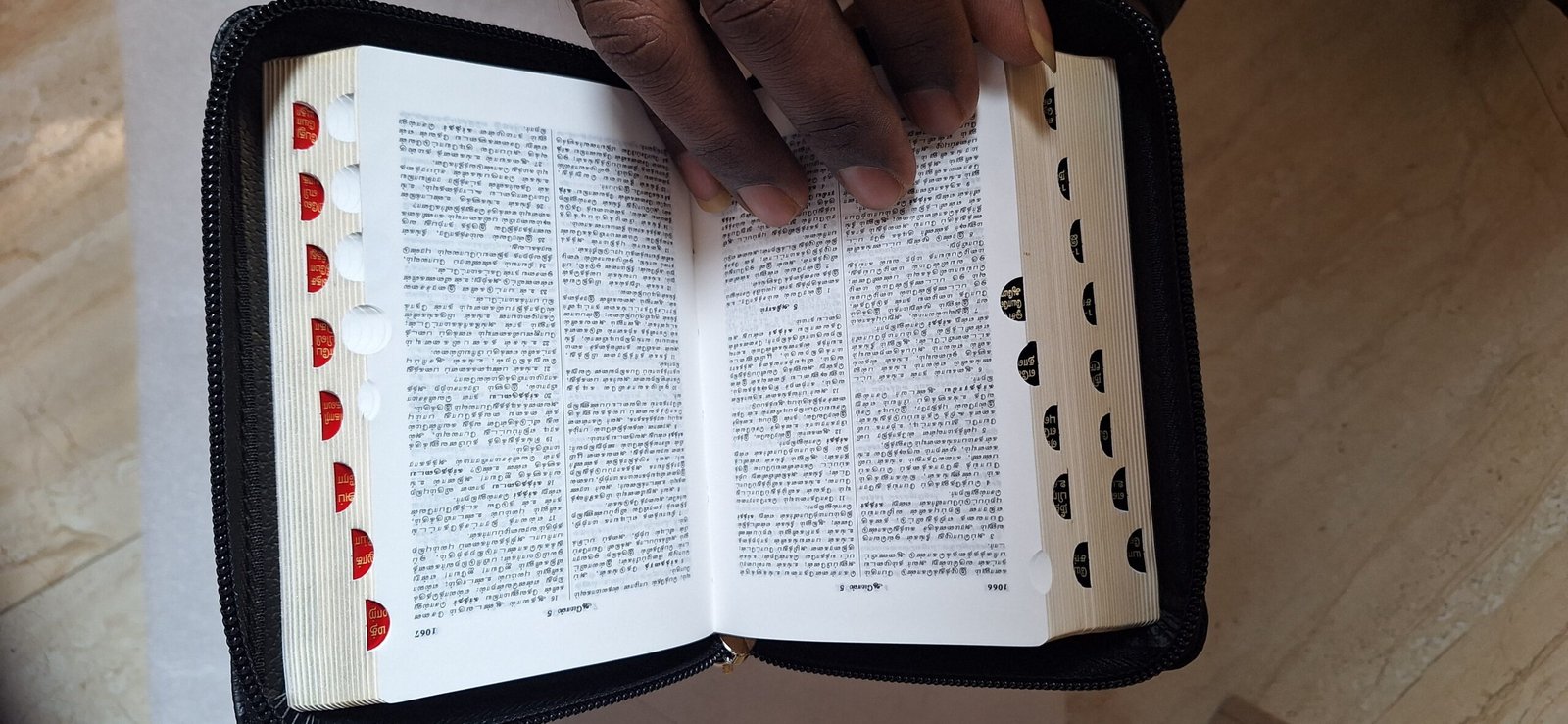 Tamil Holy Bible Pocket edition, Golden Edge Zip Amity