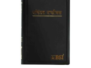 Holy Bible (Punjabi)