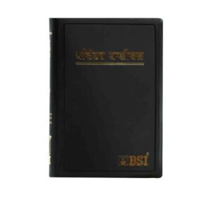 Holy Bible (Punjabi)