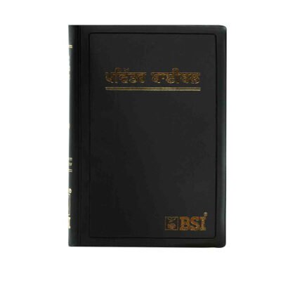Holy Bible (Punjabi)