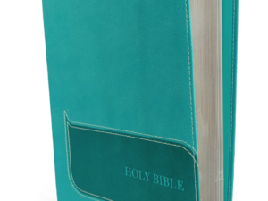New International Version (NIV), Understand the Faith Study Bible, Leathersoft, Teal: Grounding Your Beliefs in the Truth of Scripture Imitation Leather