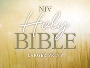 NIV, Holy Bible, Larger Print, Paperback Paperback