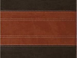 ESV Large Print Thinline Reference Bible Imitation Leather – Large Print,