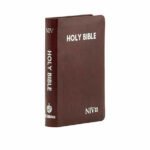 NIV Holy Bible Compact, Red