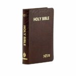NIV Holy Bible Capsule in Cranberry, a compact and portable Bible edition