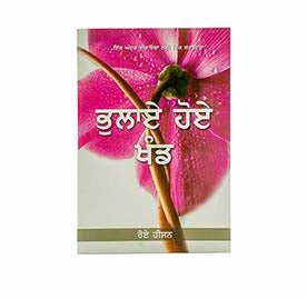 Forgotten Factors (Punjabi)