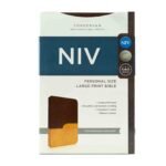 NIV Personal Size Large Print Bible