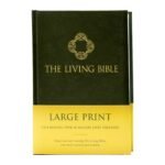 Easy-to-read Bible translation, perfect for reading and understanding.