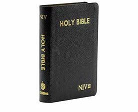 Compact Edition NIV Bible with gold edge and black cover