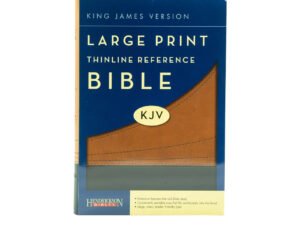 KJV large print thinline reference bible in a professional tone