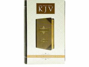 KJV Holy Bible Giant Print Mark