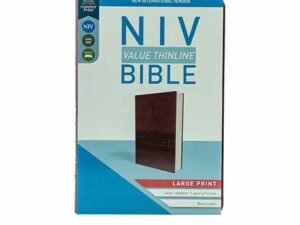 NIV Value Thinline Bible