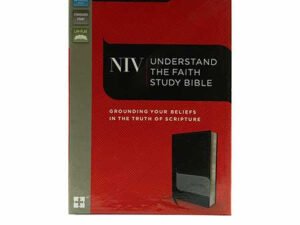 Studying the NIV Understand the Faith Study Bible, a comprehensive guide to grounding your beliefs in Scripture