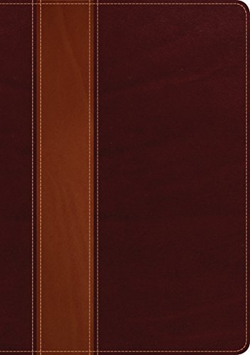 NLT Life Application Study Bible, 2nd Edition, Leatherlike Brown Indexed