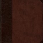 ESV Large Print Compact Bible Imitation Leather – Large Print