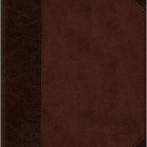 ESV Large Print Compact Bible Imitation Leather – Large Print