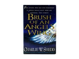 Brush of an Angel's Wing