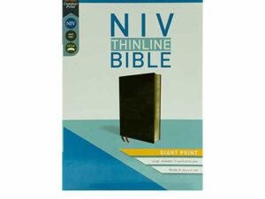 NIV Thinline Giant Print Bible with large text for easy reading