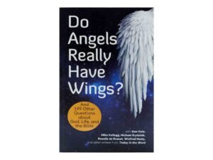 Do Angels Really have Wings?