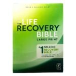 NLT Life Recovery Bible  Large Print