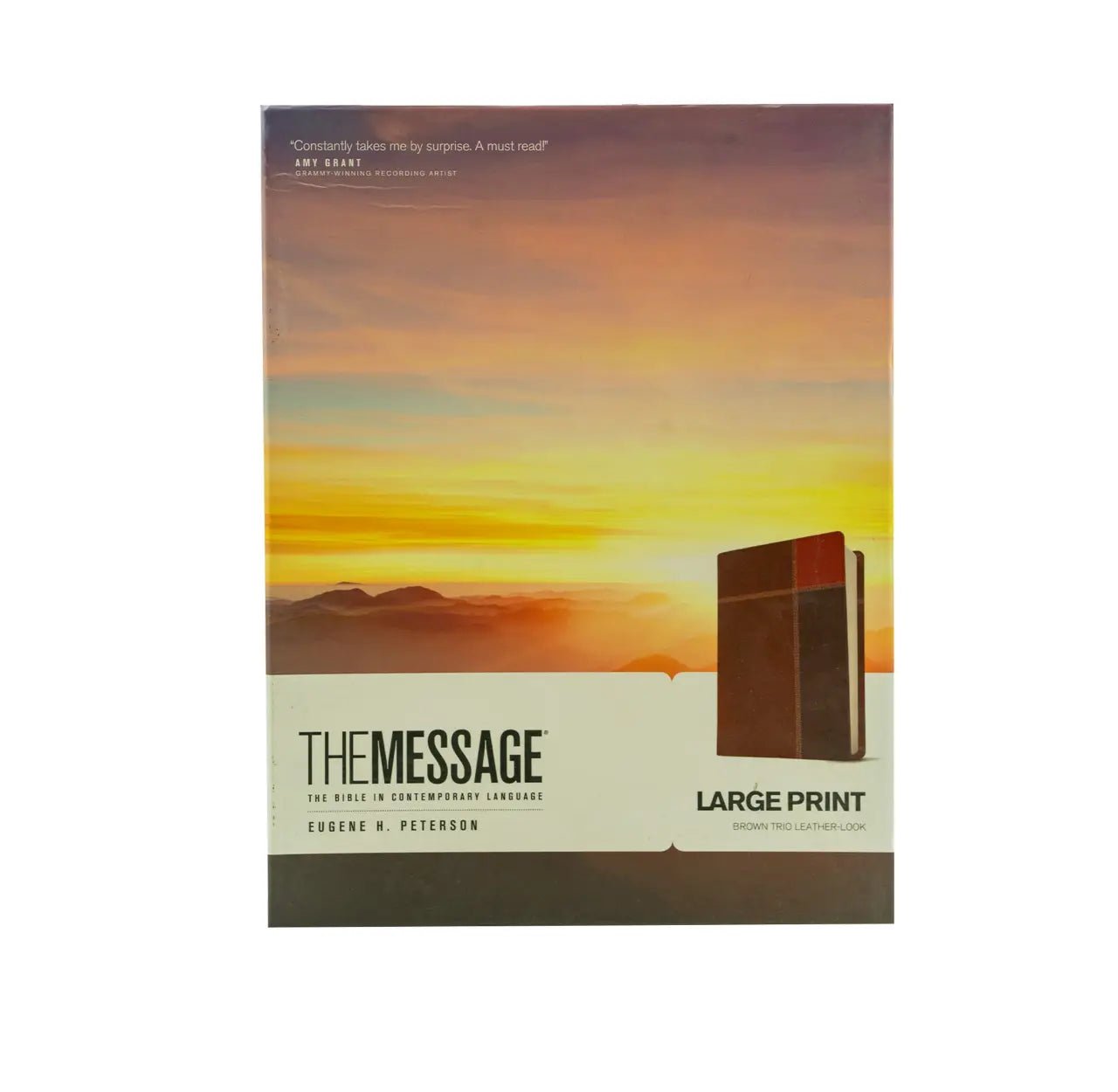 The Message Large Print Bible