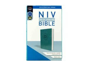 NIV Value Thinline Bible