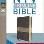 NIV Thinline Bible Large Print Leather Soft