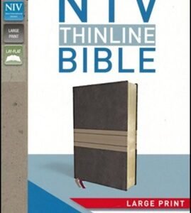 NIV Thinline Bible Large Print Leather Soft