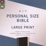 NIV Large Print Personal Size Bible, Black and Grey Leathersoft Cover (ISBN 9780310454267)