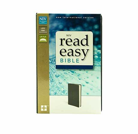 NIV Read Easy Bible,
