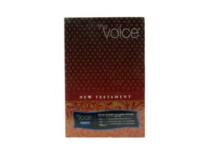 The Voice: New Testamen