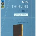 NIV Large Print Thinline Bible, Gray Flexcover Edition